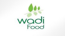 Wadi_Fouad